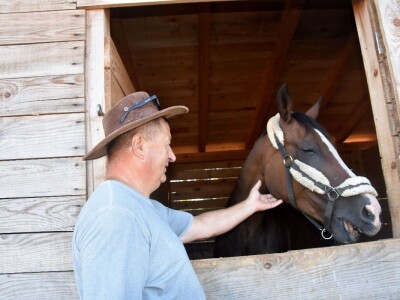 Konjički klub Zadar