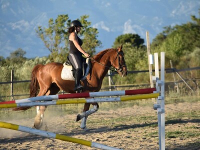 Konjički klub Zadar