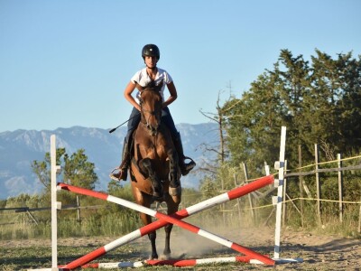 Konjički klub Zadar