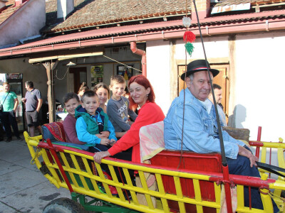 Konjskim zapregama u berbu grožđa