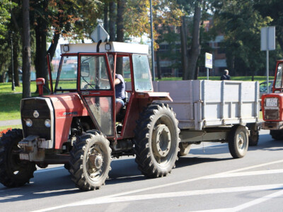 Konjskim zapregama u berbu grožđa