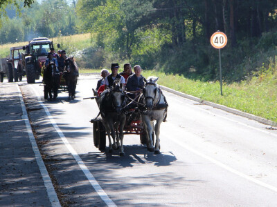 Konjskim zapregama u berbu grožđa