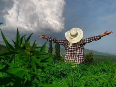 Udahnite zdravu prirodu Udahnite zdravu prirodu