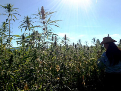 Suživot s prirodom neka bude vaš odabir Suživot s prirodom neka bude vaš odabir