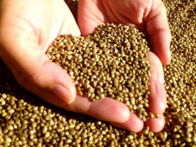 Živite zdravo i prirodno! Živite zdravo i prirodno!