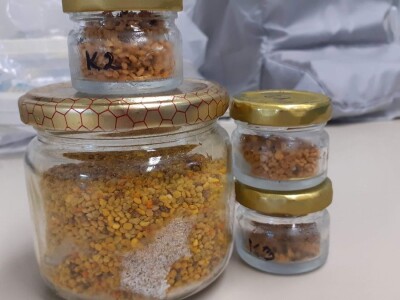 Kontola meda i pčelinjeg voska