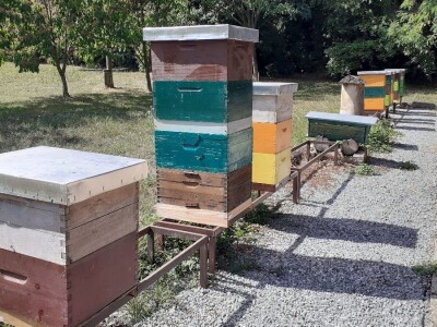 Kontola meda i pčelinjeg voska