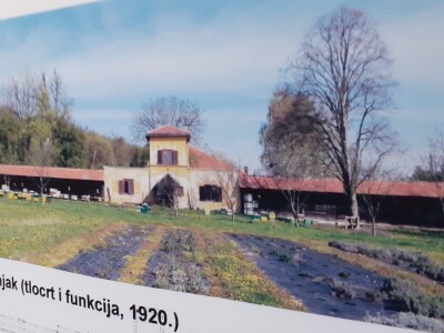 Kontola meda i pčelinjeg voska