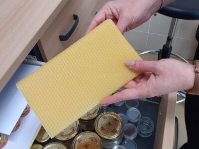 Kontola meda i pčelinjeg voska