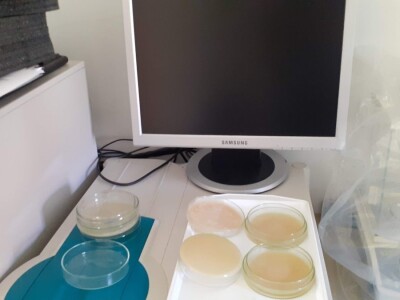 Kontola meda i pčelinjeg voska