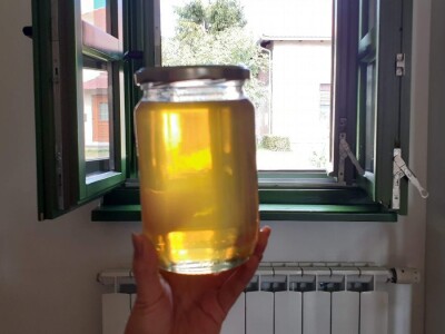 Kontola meda i pčelinjeg voska