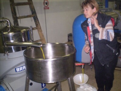 Proizvodnja maslinovog ulja