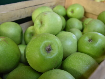 Kontrolisana proizvodnja porodice Isakov