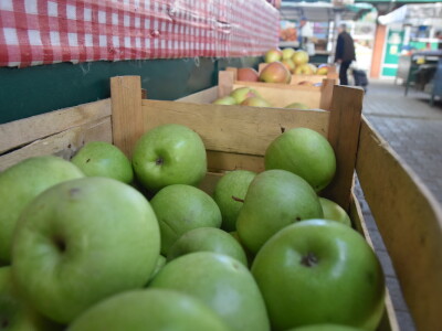 Kontrolisana proizvodnja porodice Isakov