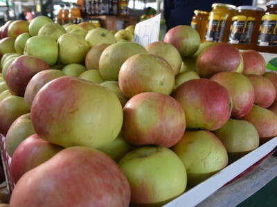 Kontrolisana proizvodnja porodice Isakov