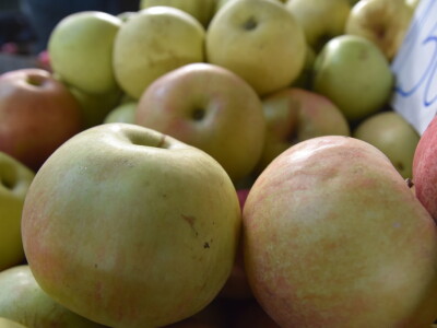 Kontrolisana proizvodnja porodice Isakov