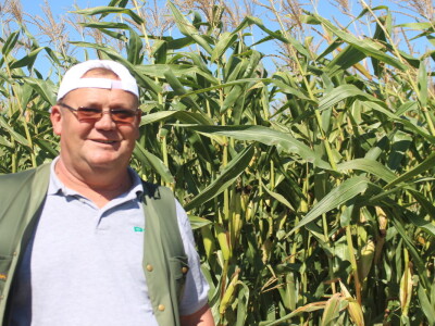 Konzervacijski sustav obrade tla