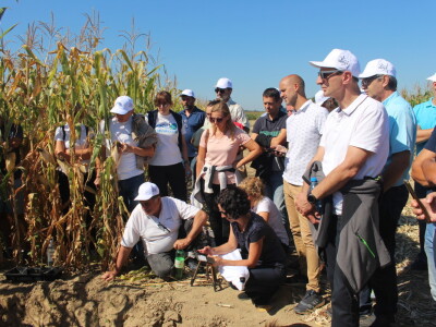 Konzervacijski sustav obrade tla