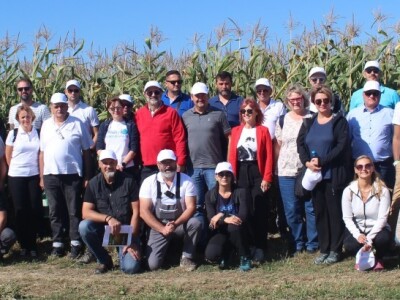 Konzervacijski sustav obrade tla