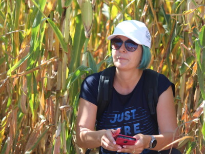 Konzervacijski sustav obrade tla