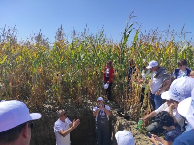 Konzervacijski sustav obrade tla