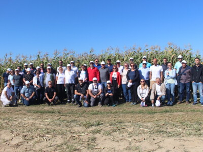 Konzervacijski sustav obrade tla