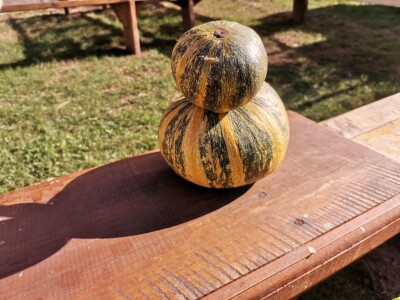 Konzumirajte zdravu hranu, poznatog sastava i porijekla