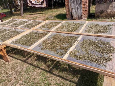 Konzumirajte zdravu hranu, poznatog sastava i porijekla