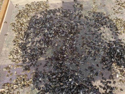 Konzumirajte zdravu hranu, poznatog sastava i porijekla