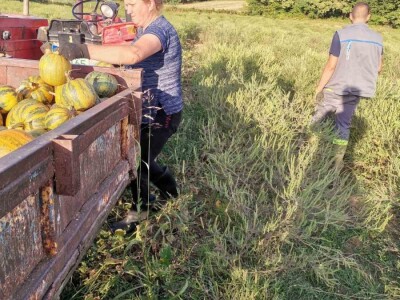 Konzumirajte zdravu hranu, poznatog sastava i porijekla