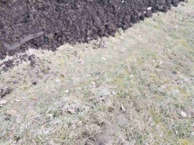 Konzumirajte zdravu hranu, poznatog sastava i porijekla