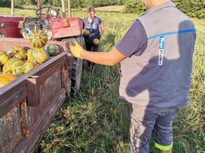 Konzumirajte zdravu hranu, poznatog sastava i porijekla