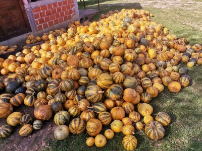 Konzumirajte zdravu hranu, poznatog sastava i porijekla