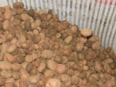 Kooperacija s braniteljima, poljoprivrednim proizvođačima