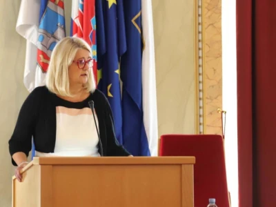 Koordinacija načelnika i gradonačelnika na temu afričke svinjske kuge.