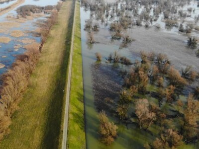 Kopački rit pod vodom