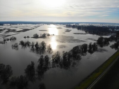 Kopački rit pod vodom