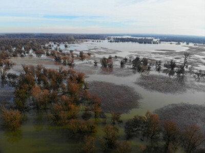 Kopački rit pod vodom