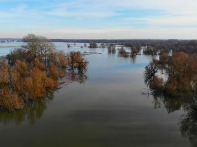 Kopački rit pod vodom