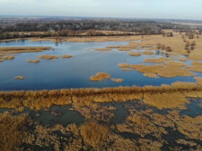 Kopački rit pod vodom