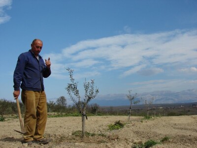 KOPAM DAKLE JESAM: Ajmooo.. svi motike u ruke