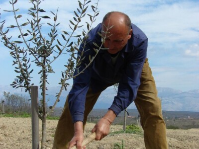 KOPAM DAKLE JESAM: Ajmooo.. svi motike u ruke