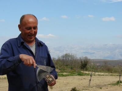 KOPAM DAKLE JESAM: Ajmooo.. svi motike u ruke