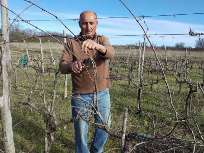 KOPAM DAKLE JESAM: Ajmooo.. svi motike u ruke