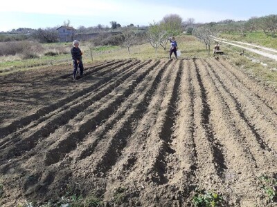 KOPAM DAKLE JESAM: Ajmooo.. svi motike u ruke