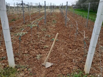 KOPAM DAKLE JESAM: Ajmooo.. svi motike u ruke