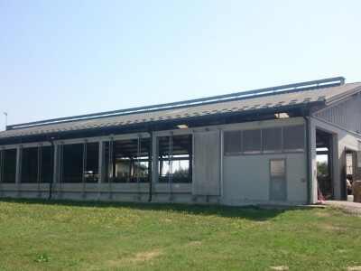 Staja za 75 muznih krava Staja za 75 muznih krava