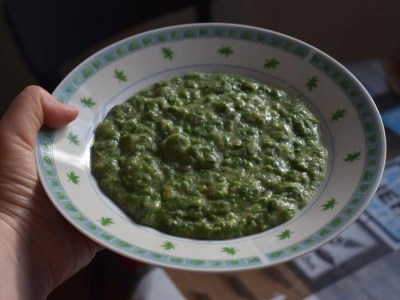 kopriva