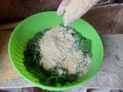 Kopriva u ishrani domaćih životinja Kopriva u ishrani domaćih životinja