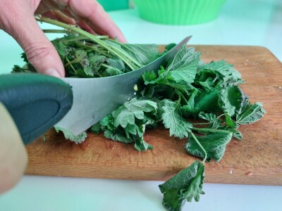 Kopriva u ishrani domaćih životinja Kopriva u ishrani domaćih životinja